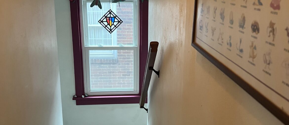 What are some cute privacy options for this window? This is the view from our only bathroom, but we sometimes have to leave the door open to keep an eye on baby bouncer or bassinet we leave in hallway while showering.