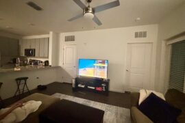 Need help with apartment layout/ decor