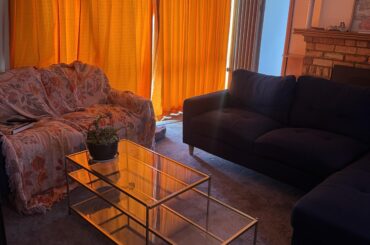 What rug, cushions and items will complement my loungeroom?