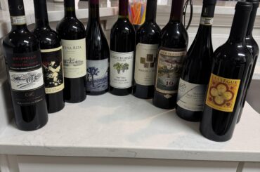 Rate my beginner collection.