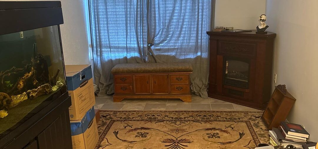 Please help me make a Victorian library/study