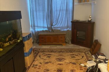 Please help me make a Victorian library/study