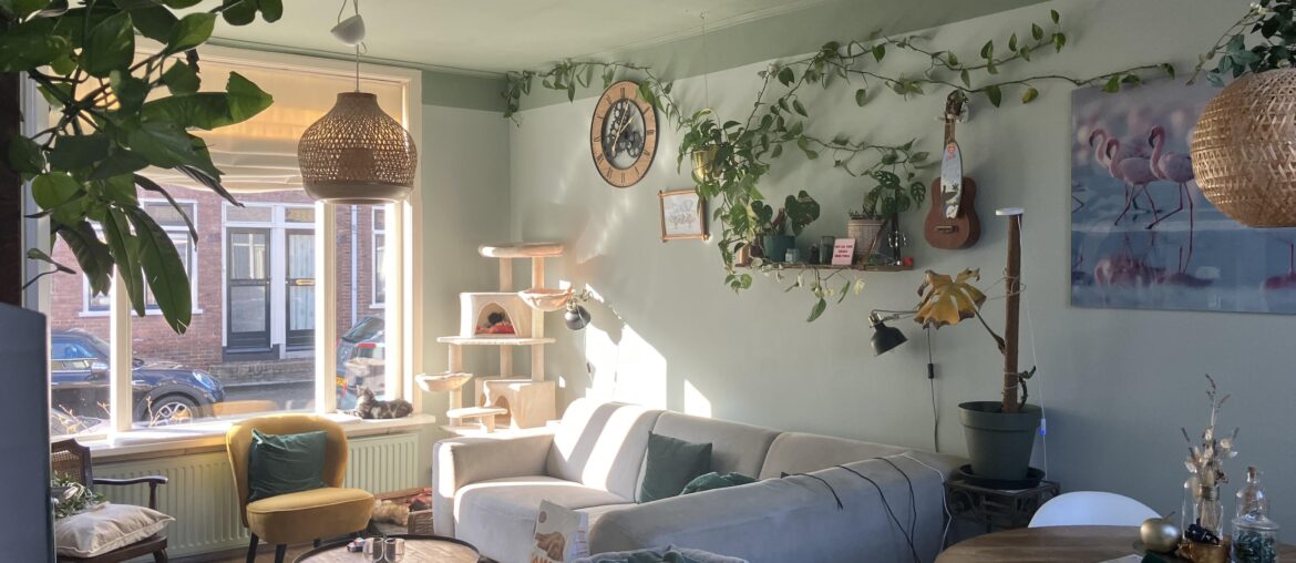 Took the plunge and finally painted the ceiling!