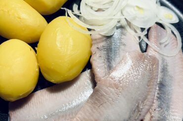 Matjes und Pellkartoffeln