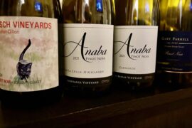 Fun Super Bowl lineup