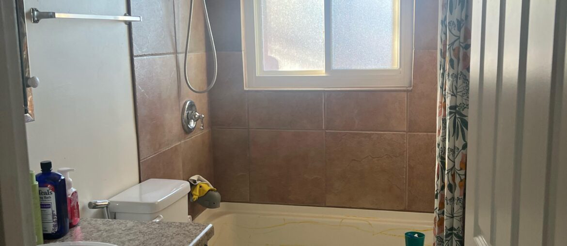 Please help my ugly bathroom