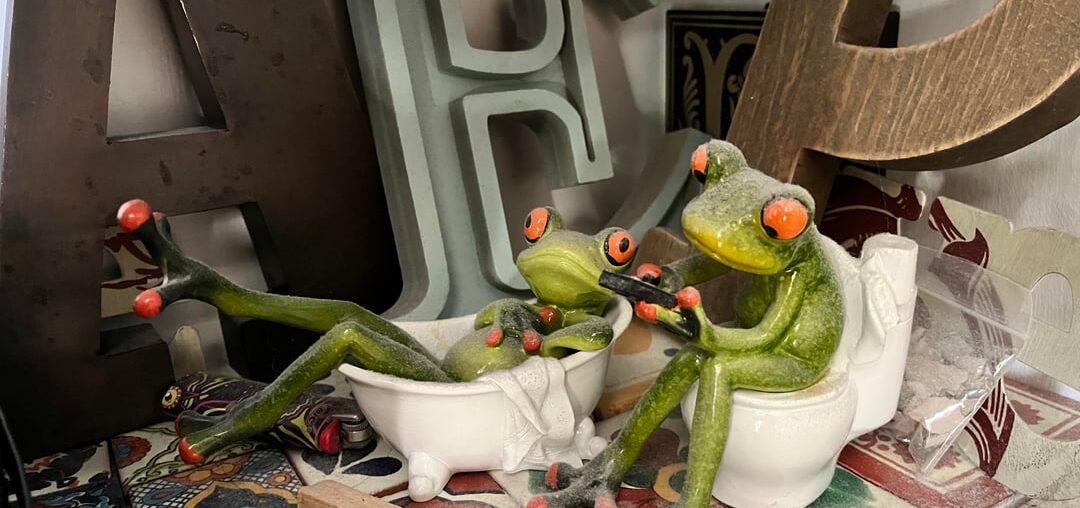 My room is full of scenes like this