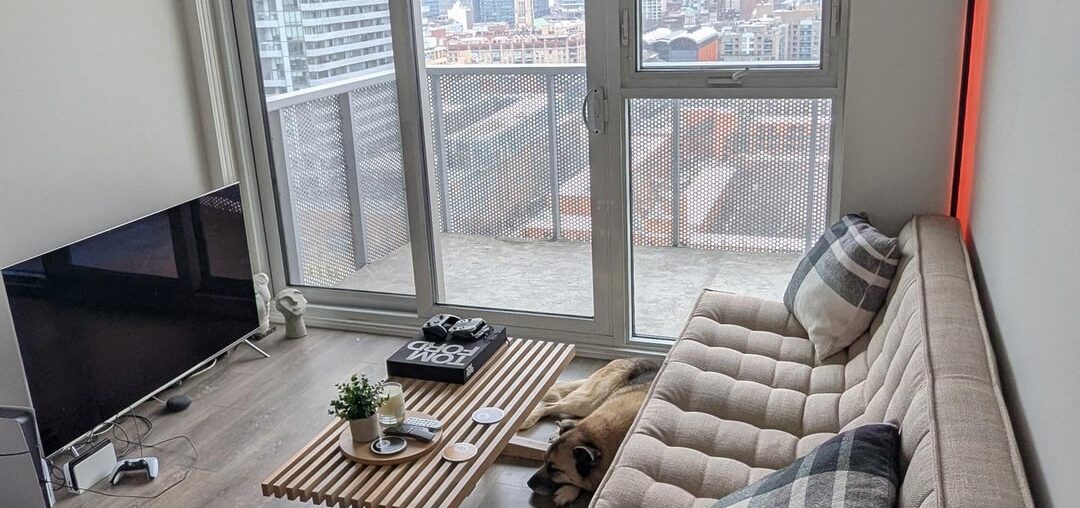 Incomplete condo living room. How to make it more inviting / cozy?