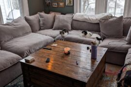 Curtain/throw pillow color suggestions?