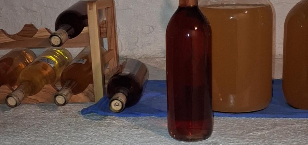 Heres my Blueberry Melomel