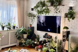 trying to balance the tech with the indoor jungle