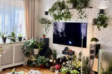 trying to balance the tech with the indoor jungle