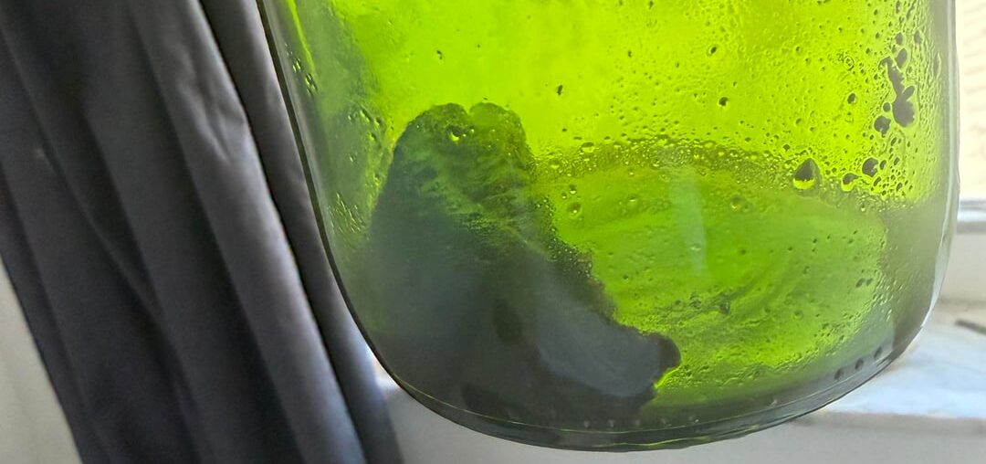 What is this in the bottle ?