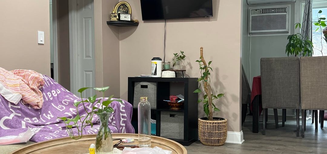 What do you recommend/think is better?