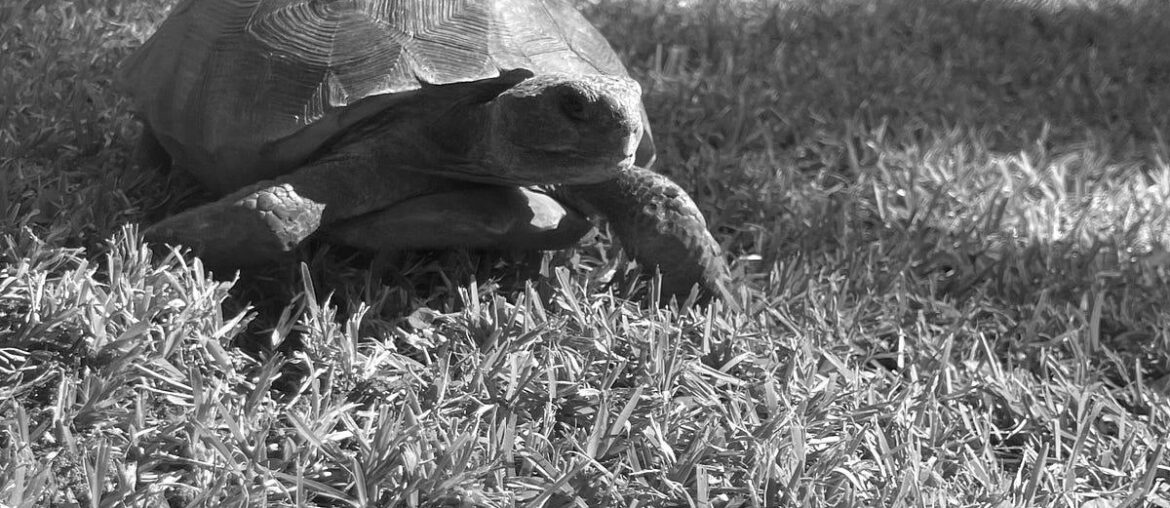 Tonight is National Open That Bottle Night!!!