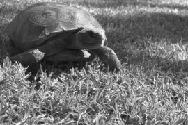 Tonight is National Open That Bottle Night!!!