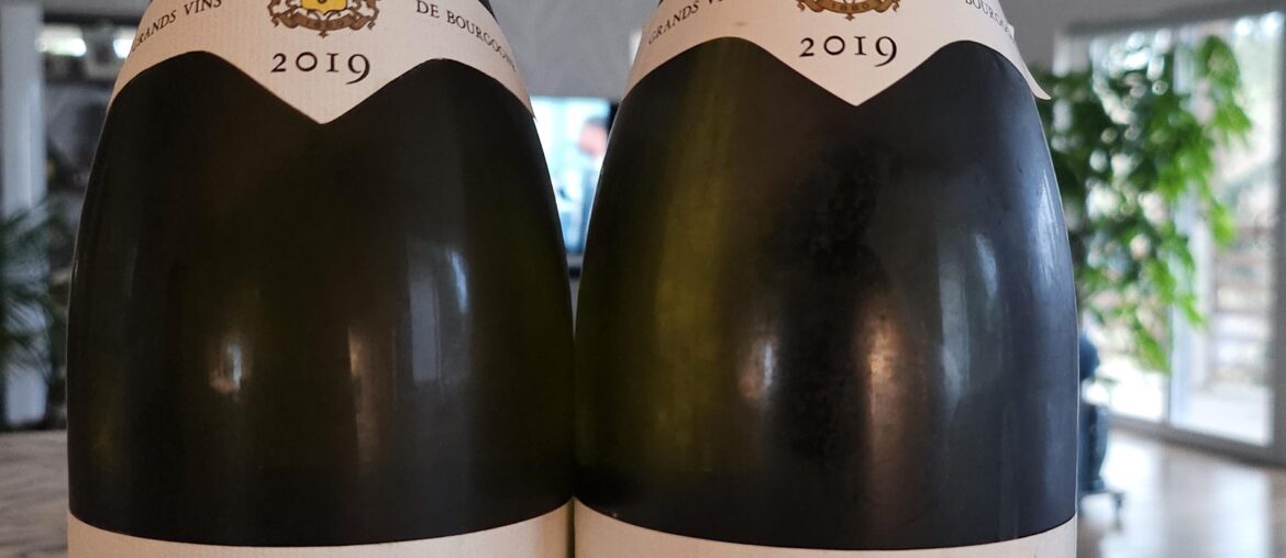 Drouhin x2 (pick one!)