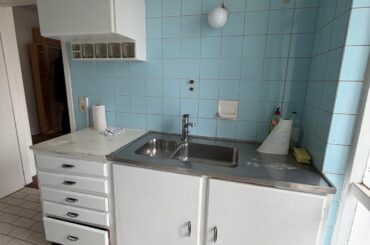 First-time homeowner, not sure what to do with the blue tiles and this vintage kitchen. Should I keep it/paint it or remove everything?