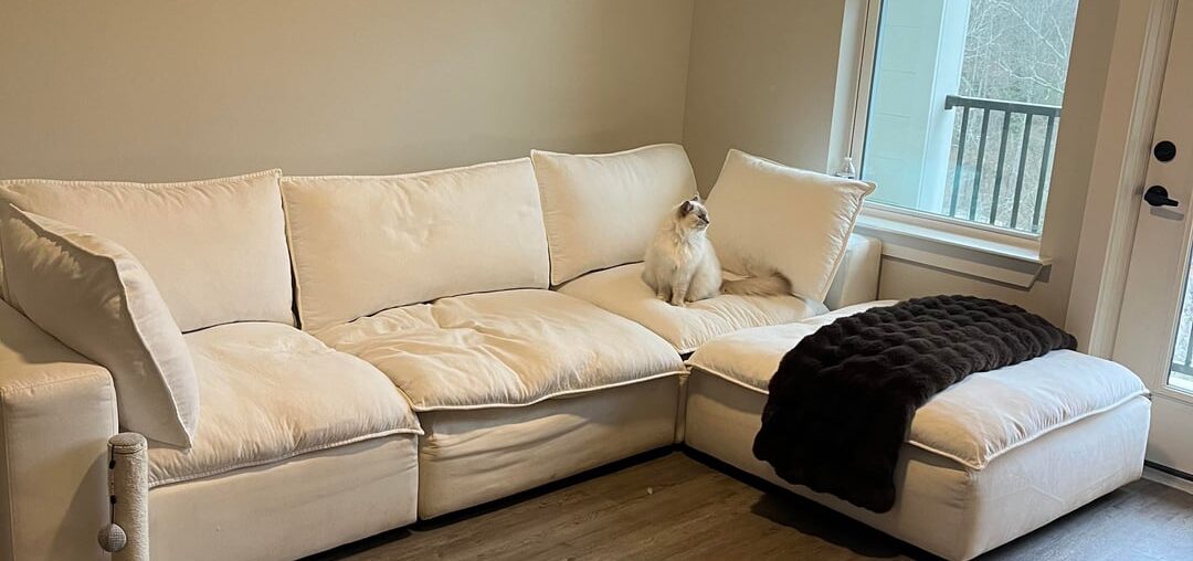 Which coffee table should I choose?