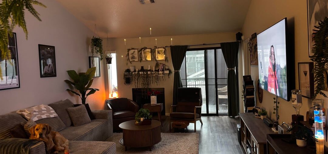 Decor Advice/ Opinion? Decor Advice/ Opinion?