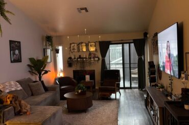 Decor Advice/ Opinion?