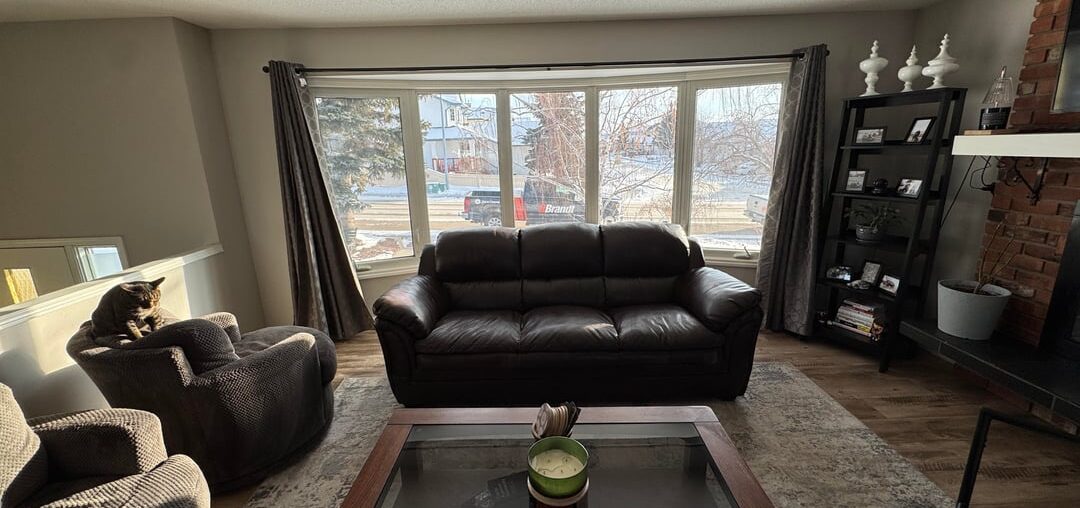 Need help choosing couch colour! Need help choosing couch colour!