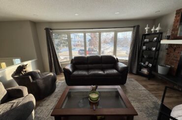 Need help choosing couch colour!