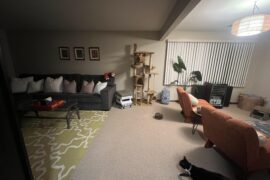 I need help filling this awkward space.