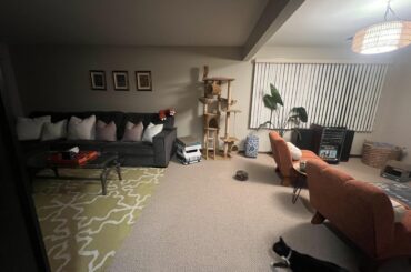 I need help filling this awkward space.