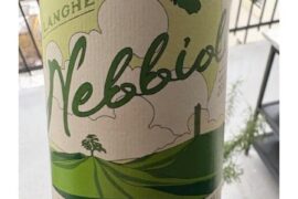 2023 Langhe Nebbiolo Progetto Non Dos
