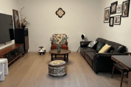 Which plant fits my living room best?