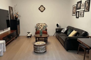 Which plant fits my living room best?