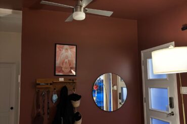 Paint all my ceilings?