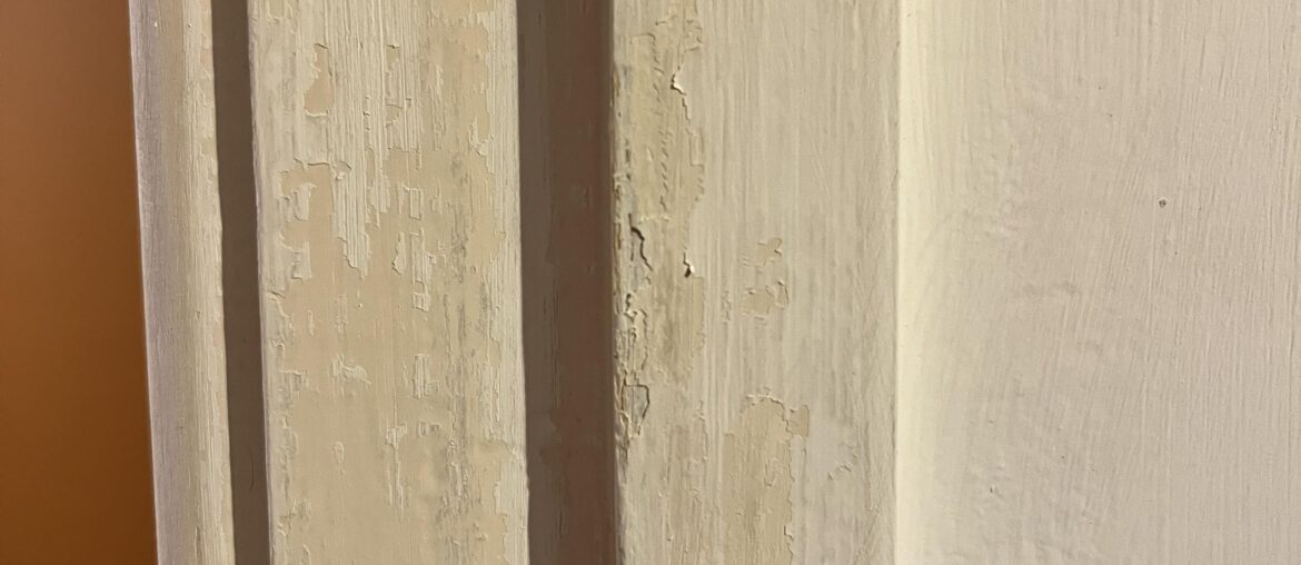 Zinsser Peel Stop Before Primer?