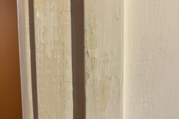 Zinsser Peel Stop Before Primer?
