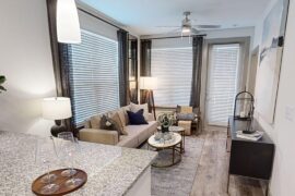 Couch Recommendations