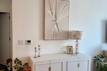 Any suggestions on how to make this litter box enclosure area look nicer!?