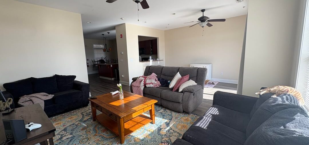 help with decorating!!