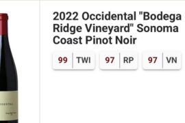 Opinion: which would you choose?