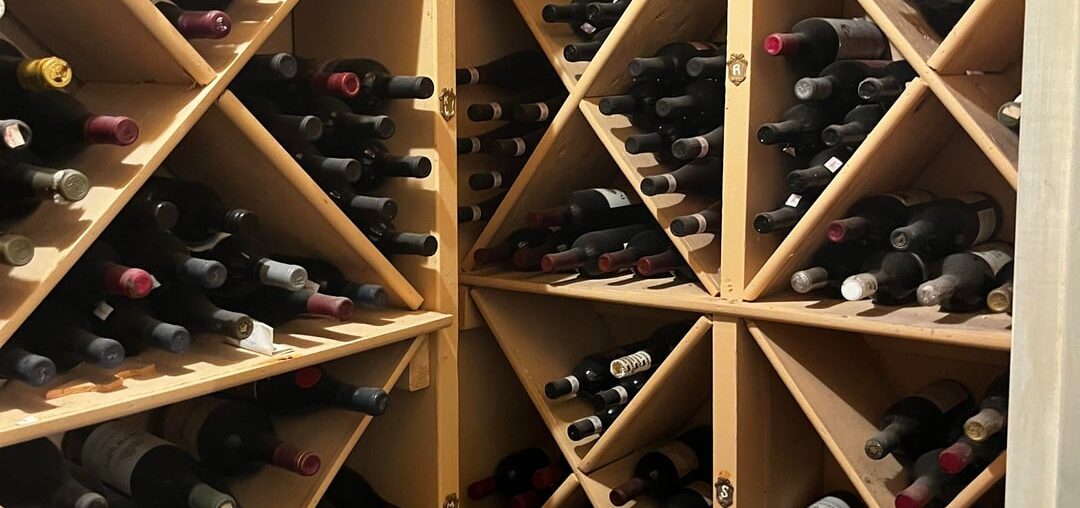 I just found a dusty old wine cellar in the basement 🍷☠️