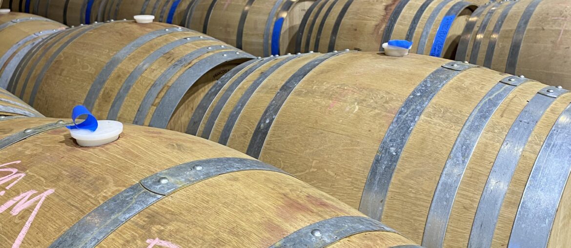 Paso Robles 2024 Vintage