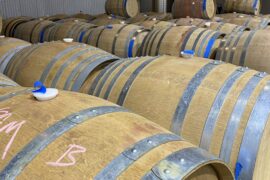 Paso Robles 2024 Vintage