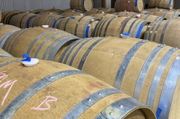 Paso Robles 2024 Vintage