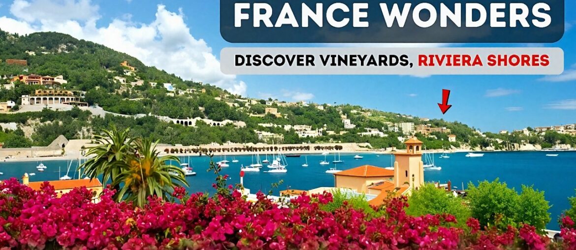FRANCE: Discover Vineyards, Riviera Shores & More FRANCE: Discover Vineyards, Riviera Shores & More