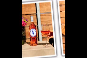 March 1, 2026 #lexingtonky #viral #wine #frenchwine #universityofkentucky