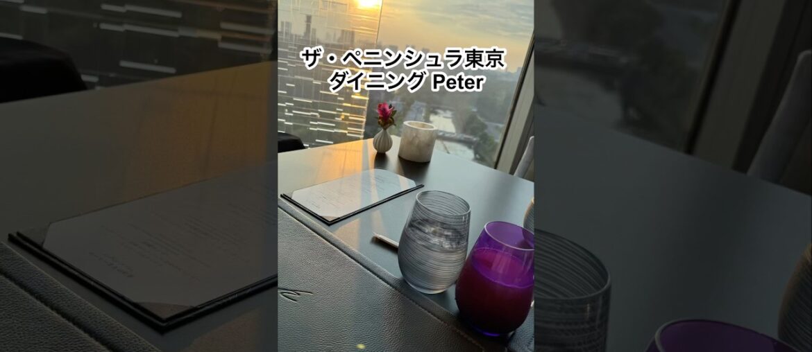 有楽町モダンフレンチpeter #グルメ  #東京グルメ  #東京 #フレンチ