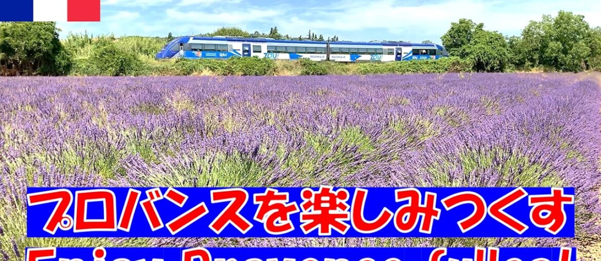 [Rare] Avignon and Manosque / Train running through lavender fields / French cuisine and wine