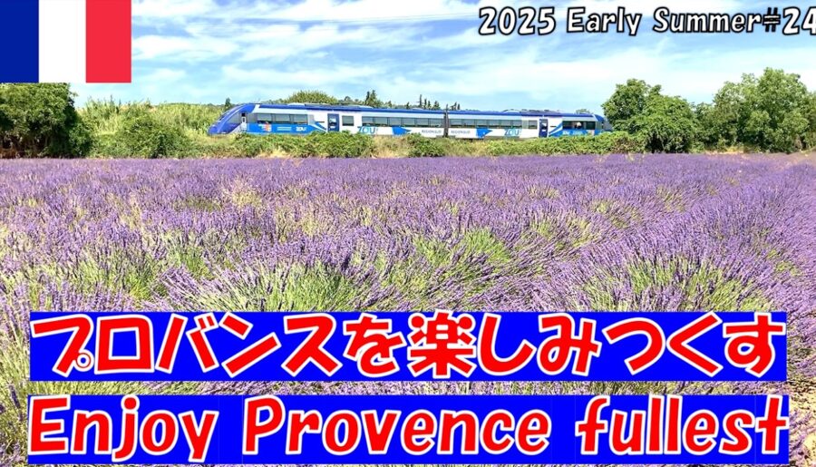[Rare] Avignon and Manosque / Train running through lavender fields / French cuisine and wine