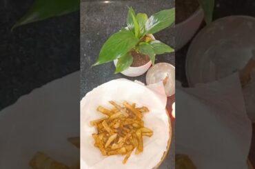 Ultra Crispy French Fries at Home.