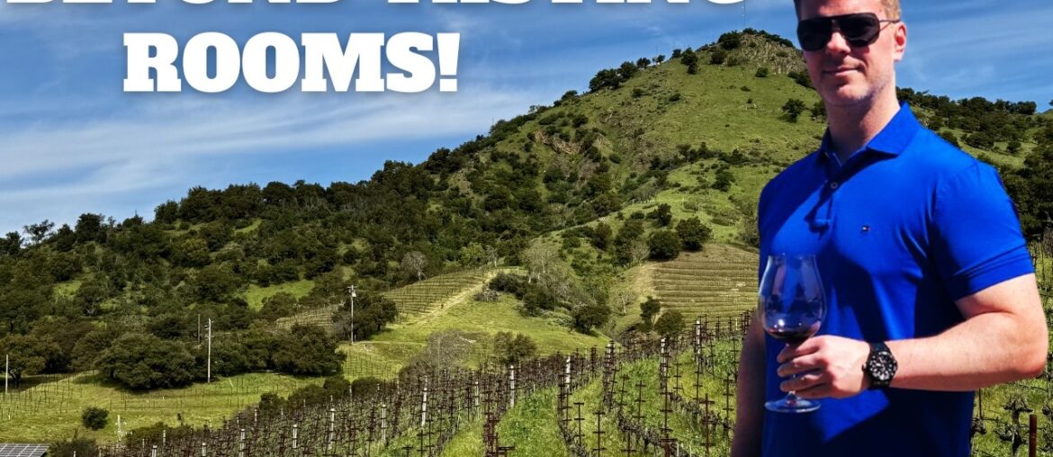 8 Best Winery Experiences in Napa Valley